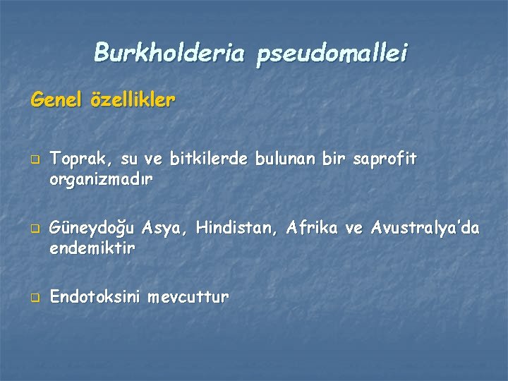 Burkholderia pseudomallei Genel özellikler q q q Toprak, su ve bitkilerde bulunan bir saprofit