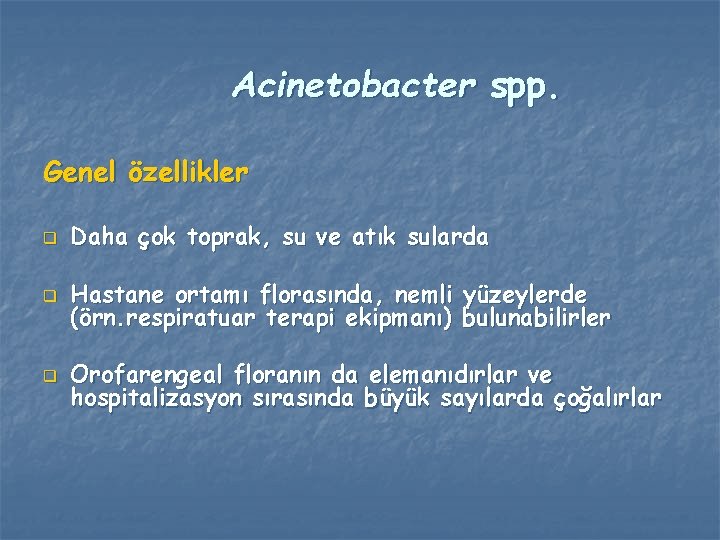 Acinetobacter spp. Genel özellikler q Daha çok toprak, su ve atık sularda q Hastane