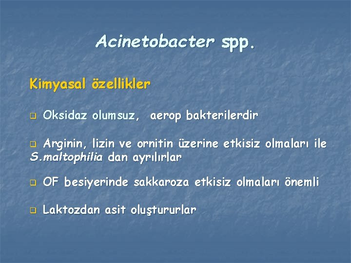 Acinetobacter spp. Kimyasal özellikler q Oksidaz olumsuz, aerop bakterilerdir Arginin, lizin ve ornitin üzerine