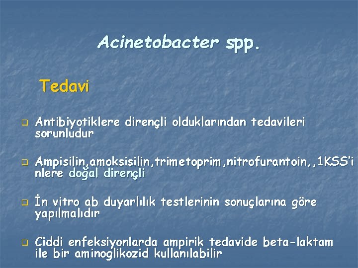 Acinetobacter spp. Tedavi q Antibiyotiklere dirençli olduklarından tedavileri sorunludur q Ampisilin, amoksisilin, trimetoprim, nitrofurantoin,