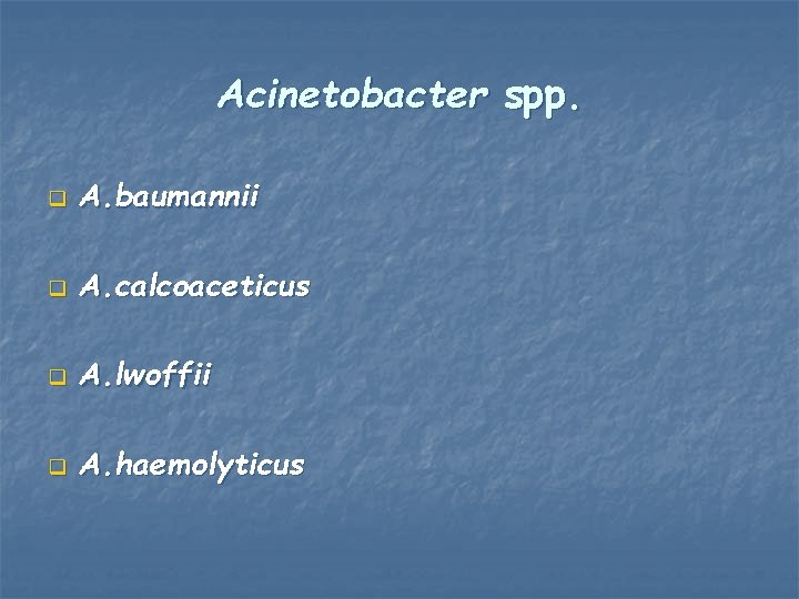 Acinetobacter spp. q A. baumannii q A. calcoaceticus q A. lwoffii q A. haemolyticus