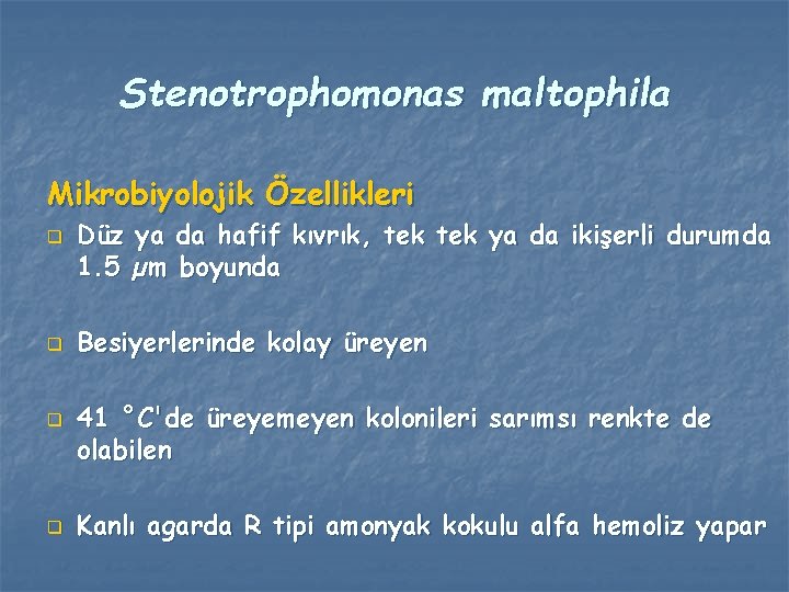 Stenotrophomonas maltophila Mikrobiyolojik Özellikleri q q Düz ya da hafif kıvrık, tek ya da