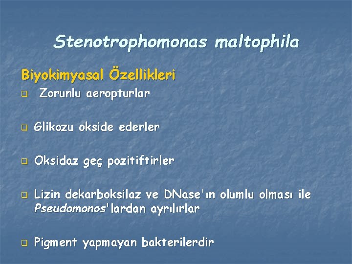 Stenotrophomonas maltophila Biyokimyasal Özellikleri q Zorunlu aeropturlar q Glikozu okside ederler q Oksidaz geç