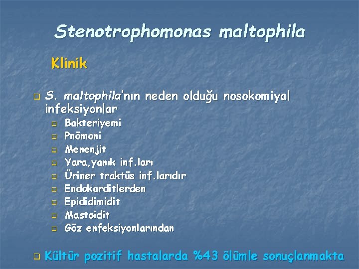 Stenotrophomonas maltophila Klinik q S. maltophila’nın neden olduğu nosokomiyal infeksiyonlar q q q q