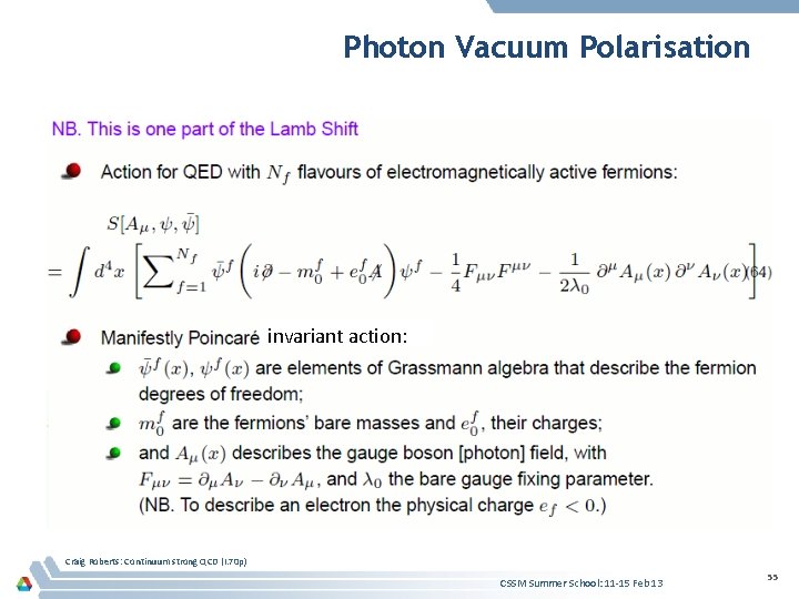 Photon Vacuum Polarisation invariant action: Craig Roberts: Continuum strong QCD (I. 70 p) CSSM