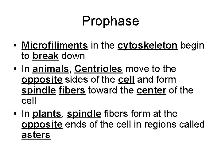 Prophase • Microfiliments in the cytoskeleton begin to break down • In animals, Centrioles