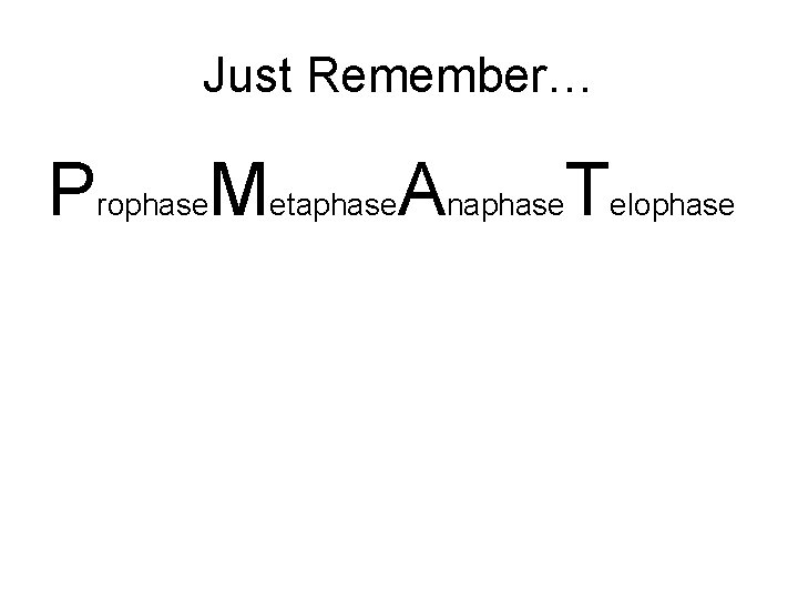 Just Remember… Prophase. Metaphase. Anaphase. Telophase 