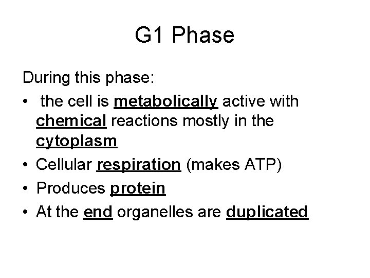 G 1 Phase During this phase: • the cell is metabolically active with chemical