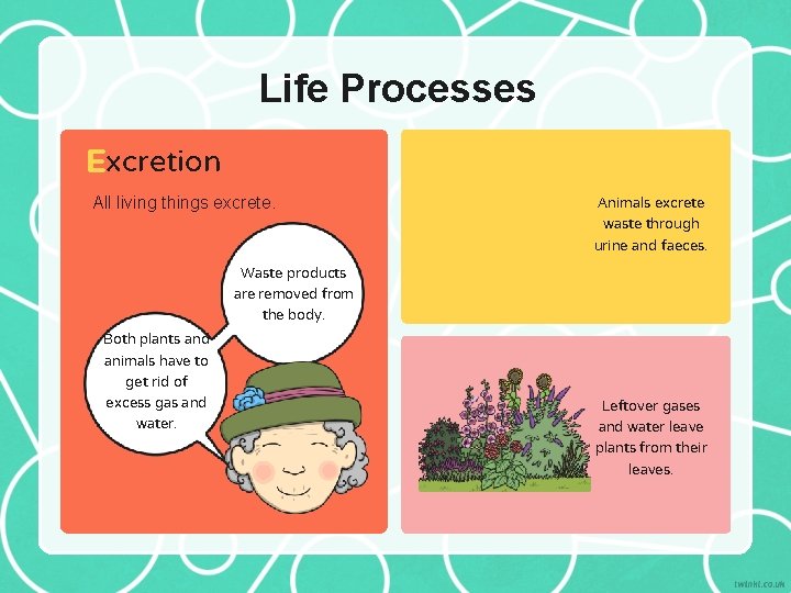 Life Processes Excretion All living things excrete. Both plants and animals have to get