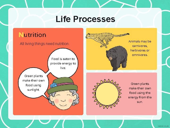 Life Processes Nutrition All living things need nutrition. Food is eaten to provide energy