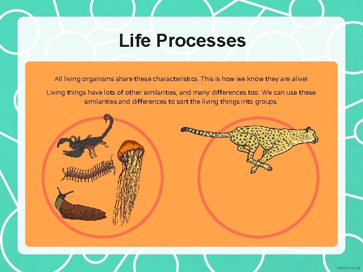 Life Processes All living organisms share these characteristics. This is how we know they