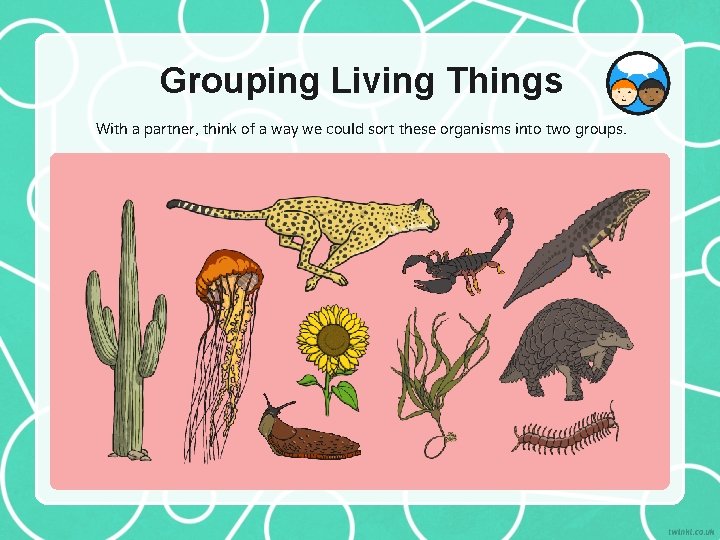 Grouping Living Things With a partner, think of a way we could sort these