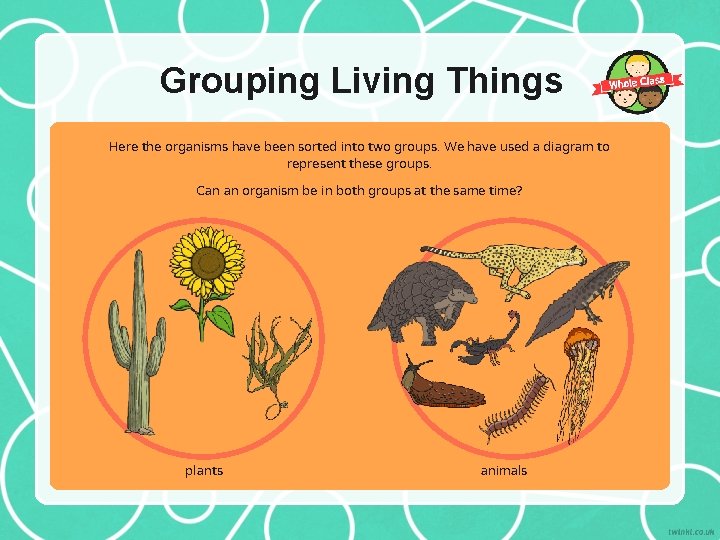 Grouping Living Things Here the organisms have been sorted into two groups. We have