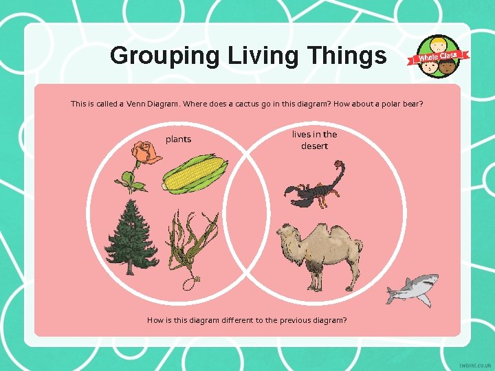 Grouping Living Things This is called a Venn Diagram. Where does a cactus go