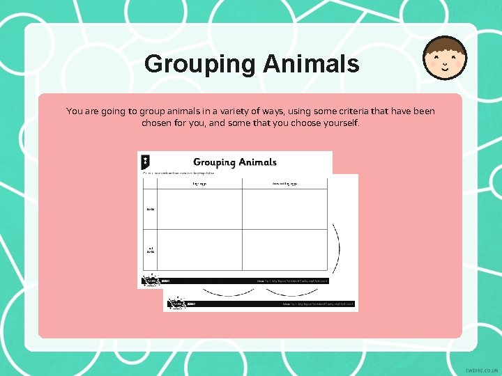 Grouping Animals You are going to group animals in a variety of ways, using