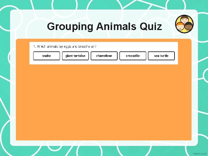 Grouping Animals Quiz 