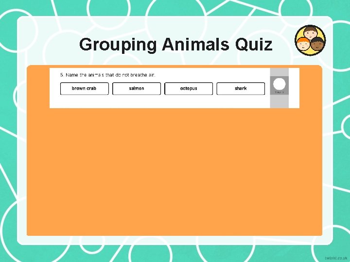 Grouping Animals Quiz 