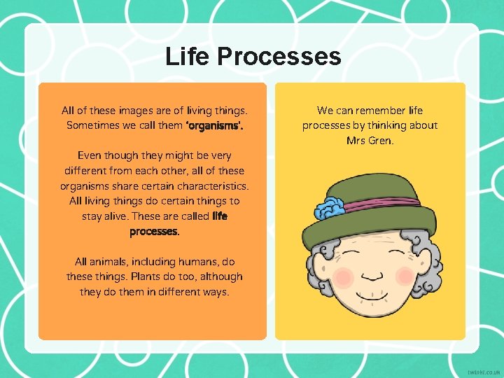 Life Processes All of these images are of living things. Sometimes we call them