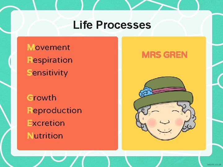 Life Processes Movement Respiration Sensitivity Growth Reproduction Excretion Nutrition MRS GREN 