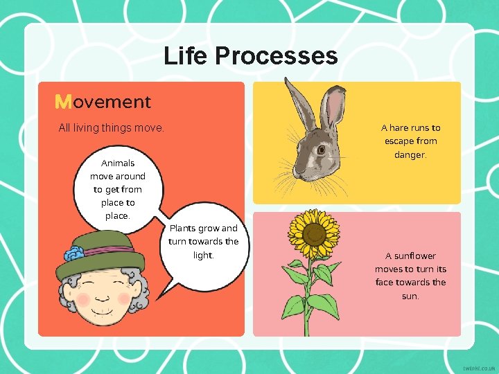 Life Processes Movement A hare runs to escape from danger. All living things move.