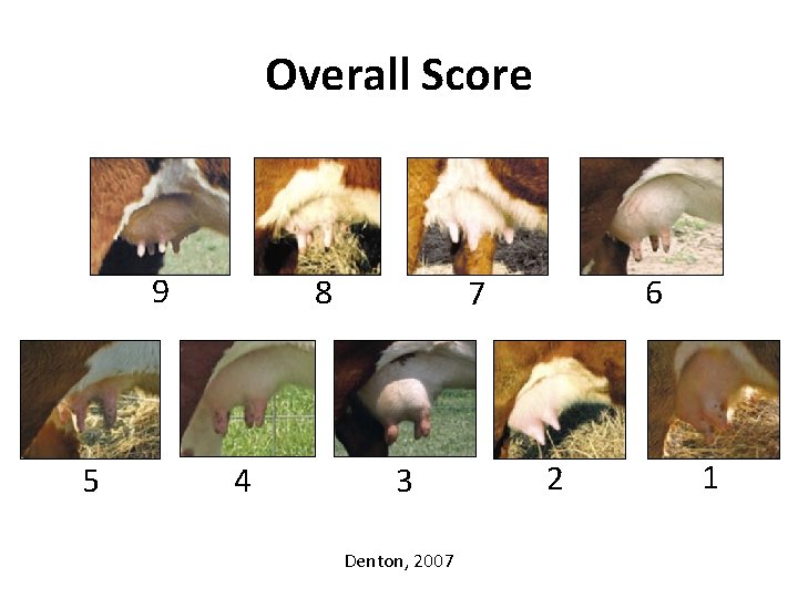 Overall Score 9 5 8 4 6 7 3 Denton, 2007 2 1 