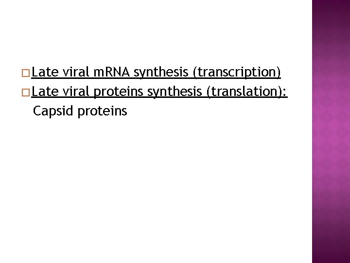 � Late viral m. RNA synthesis (transcription) � Late viral proteins synthesis (translation): Capsid