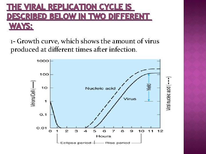 THE VIRAL REPLICATION CYCLE IS DESCRIBED BELOW IN TWO DIFFERENT WAYS: 1 - Growth