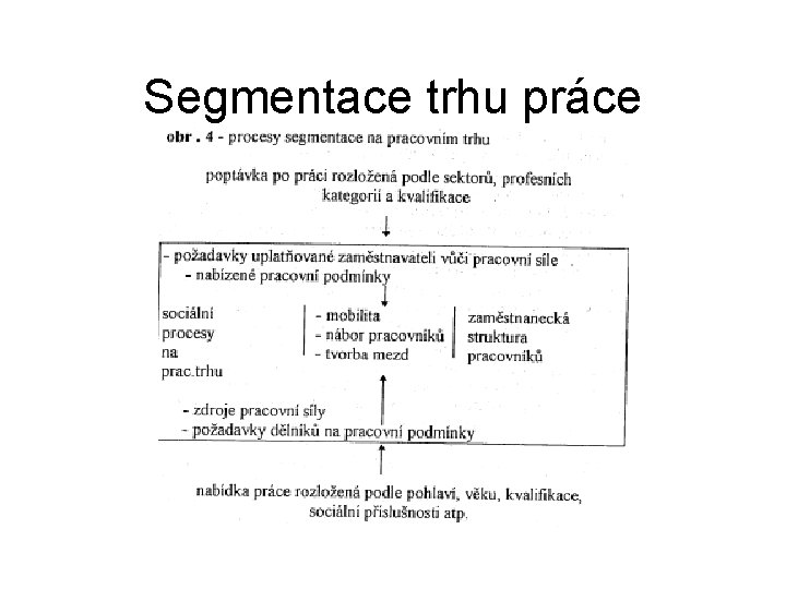 Segmentace trhu práce 