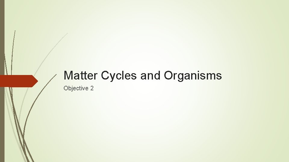 Matter Cycles and Organisms Objective 2 Matter Cycles and Organisms Objective 2