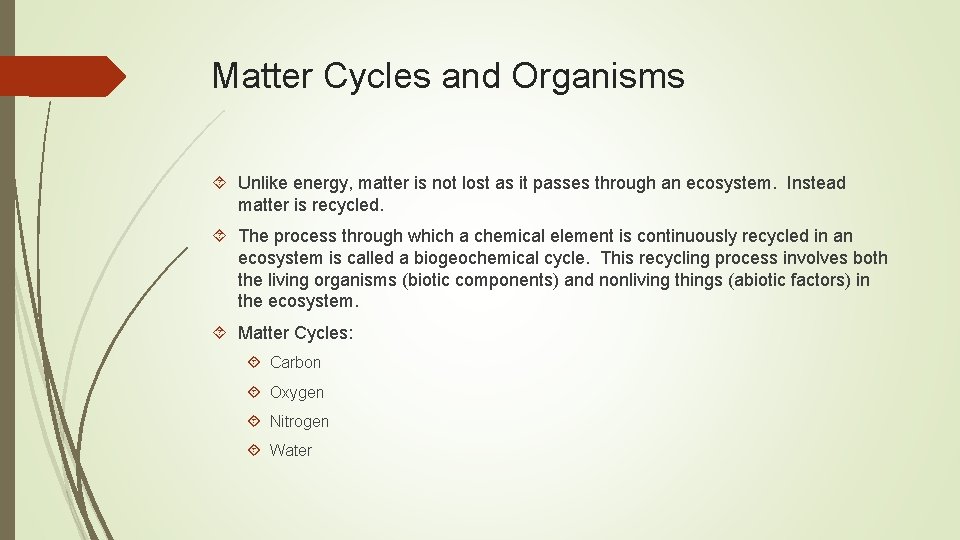Matter Cycles and Organisms Unlike energy, matter is not lost as it passes through Matter Cycles and Organisms Unlike energy, matter is not lost as it passes through