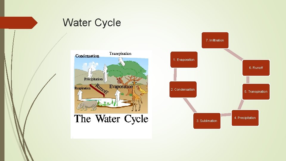 Water Cycle 7. Infiltration 1. Evaporation 6. Runoff 2. Condensation 5. Transpiration 3. Sublimation Water Cycle 7. Infiltration 1. Evaporation 6. Runoff 2. Condensation 5. Transpiration 3. Sublimation