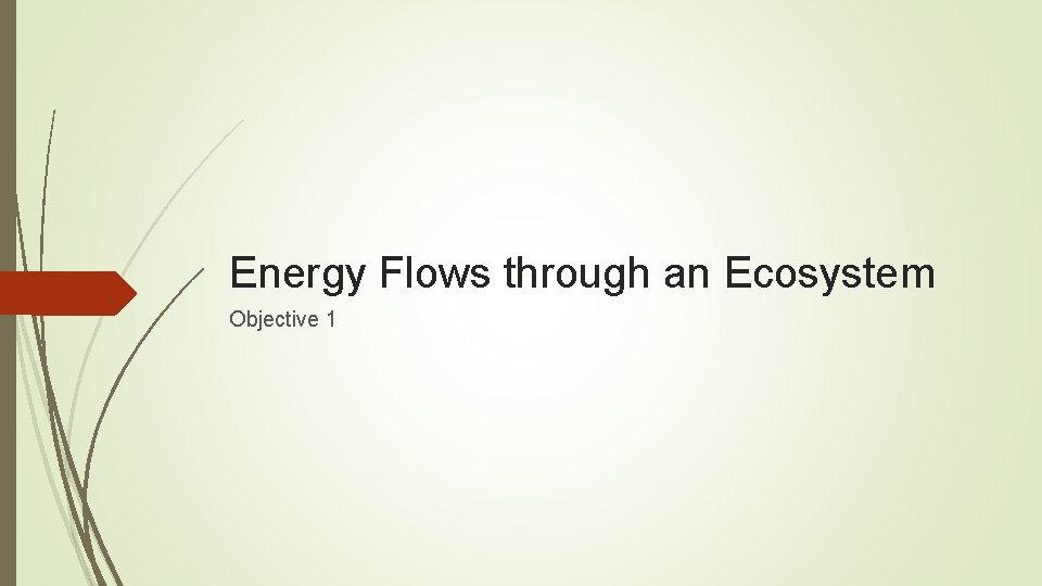 Energy Flows through an Ecosystem Objective 1 Energy Flows through an Ecosystem Objective 1