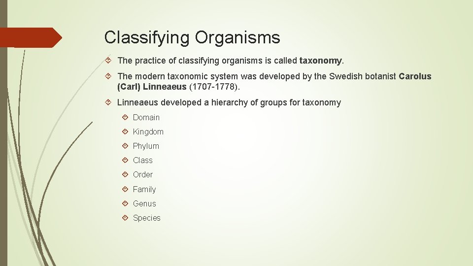 Classifying Organisms The practice of classifying organisms is called taxonomy. The modern taxonomic system Classifying Organisms The practice of classifying organisms is called taxonomy. The modern taxonomic system