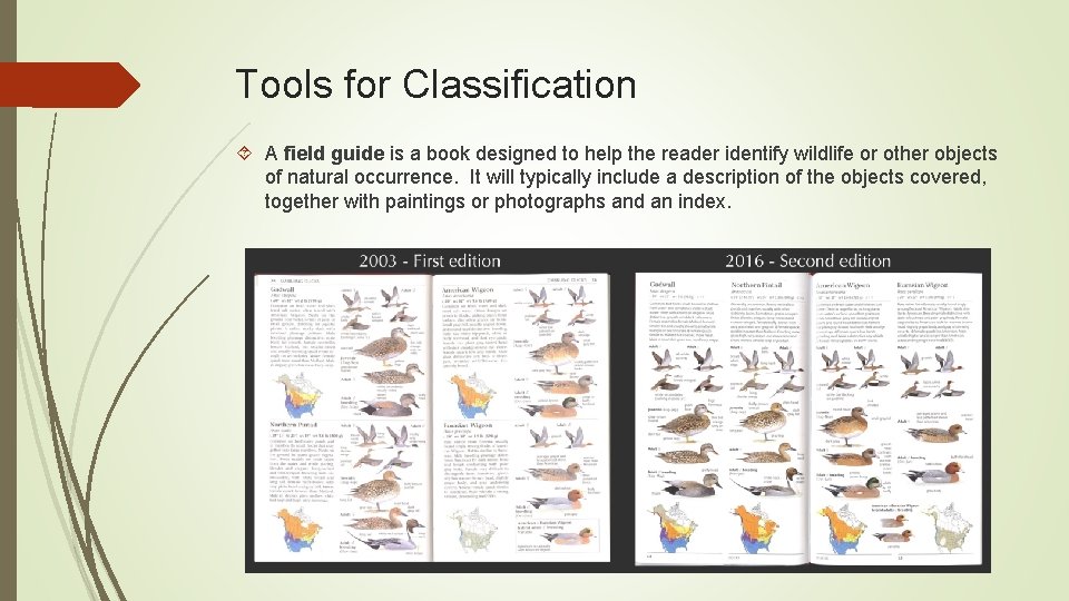 Tools for Classification A field guide is a book designed to help the reader Tools for Classification A field guide is a book designed to help the reader