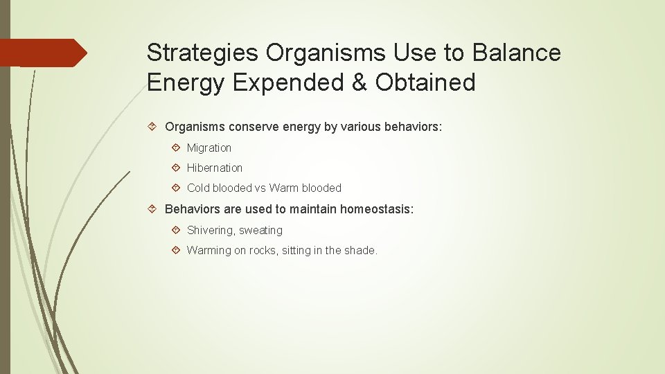 Strategies Organisms Use to Balance Energy Expended & Obtained Organisms conserve energy by various Strategies Organisms Use to Balance Energy Expended & Obtained Organisms conserve energy by various