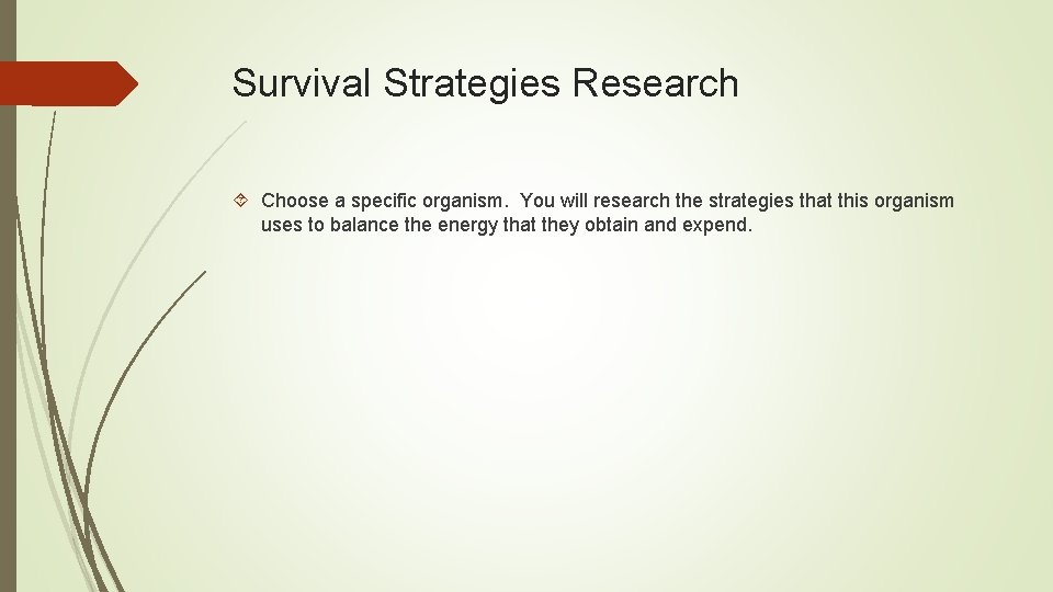 Survival Strategies Research Choose a specific organism. You will research the strategies that this Survival Strategies Research Choose a specific organism. You will research the strategies that this