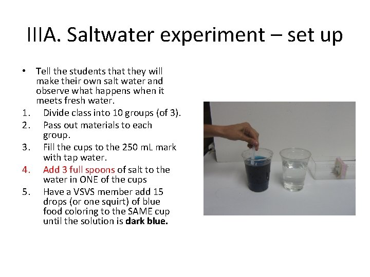 IIIA. Saltwater experiment – set up • Tell the students that they will make