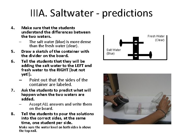 IIIA. Saltwater - predictions 4. 5. 6. Make sure that the students understand the