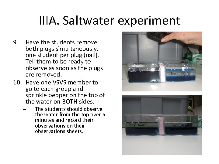 IIIA. Saltwater experiment 9. Have the students remove both plugs simultaneously, one student per