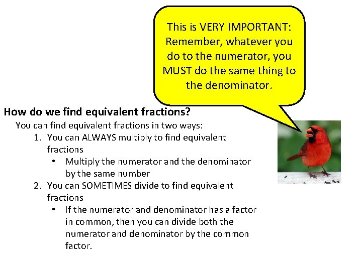This is VERY IMPORTANT: Remember, whatever you do to the numerator, you MUST do