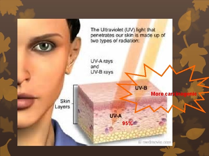 More carcinogenic 95% 