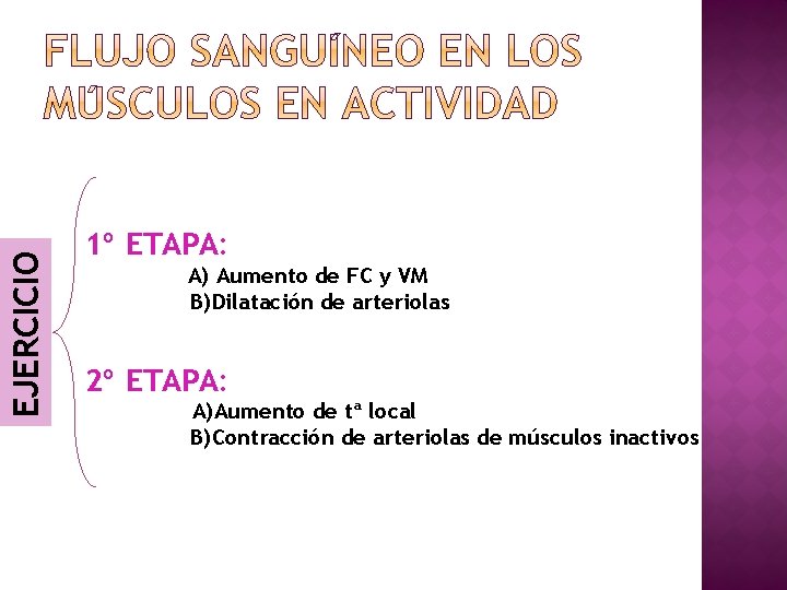 EJERCICIO 1º ETAPA: A) Aumento de FC y VM B)Dilatación de arteriolas 2º ETAPA: