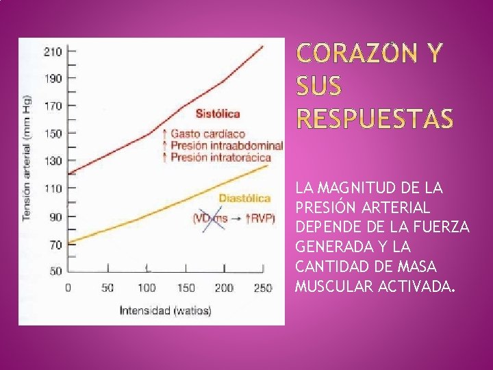 LA MAGNITUD DE LA PRESIÓN ARTERIAL DEPENDE DE LA FUERZA GENERADA Y LA CANTIDAD