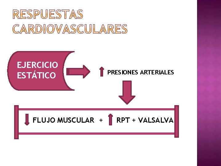 EJERCICIO ESTÁTICO FLUJO MUSCULAR + PRESIONES ARTERIALES RPT + VALSALVA 