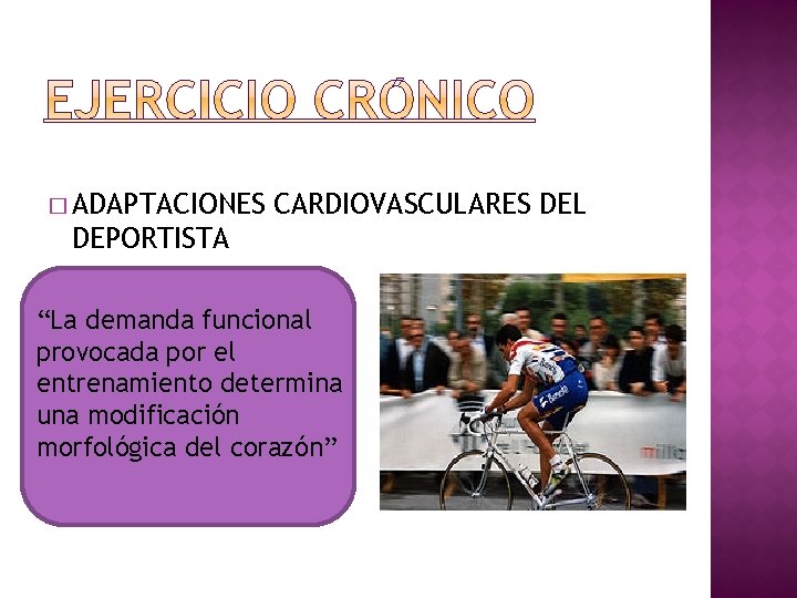 � ADAPTACIONES CARDIOVASCULARES DEL DEPORTISTA “La demanda funcional provocada por el entrenamiento determina una