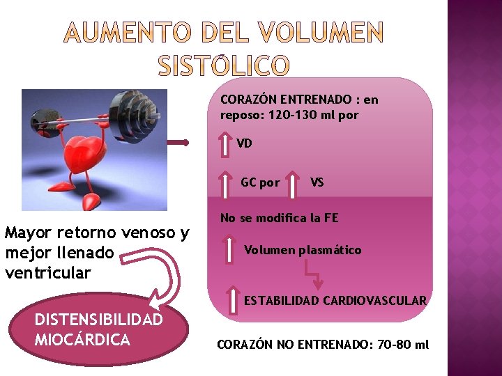 CORAZÓN ENTRENADO : en reposo: 120 -130 ml por VD GC por Mayor retorno