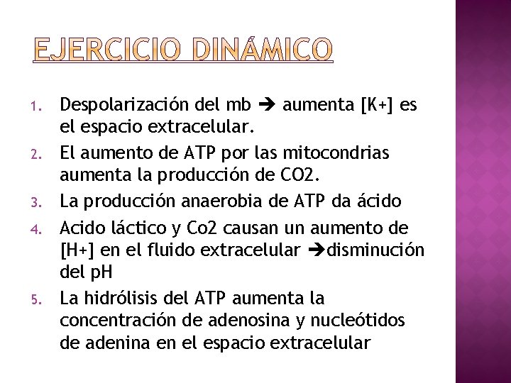 1. 2. 3. 4. 5. Despolarización del mb aumenta [K+] es el espacio extracelular.