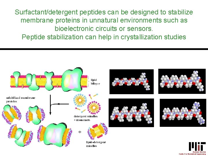 Surfactant/detergent peptides can be designed to stabilize membrane proteins in unnatural environments such as