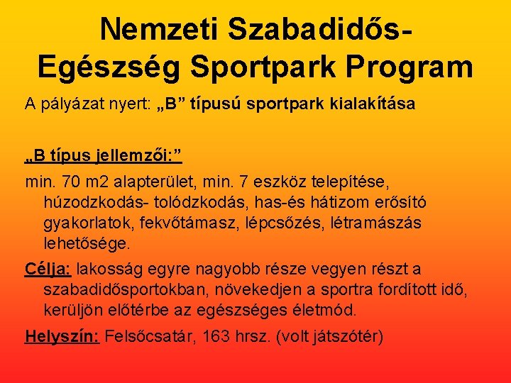 Nemzeti Szabadidős. Egészség Sportpark Program A pályázat nyert: „B” típusú sportpark kialakítása „B típus