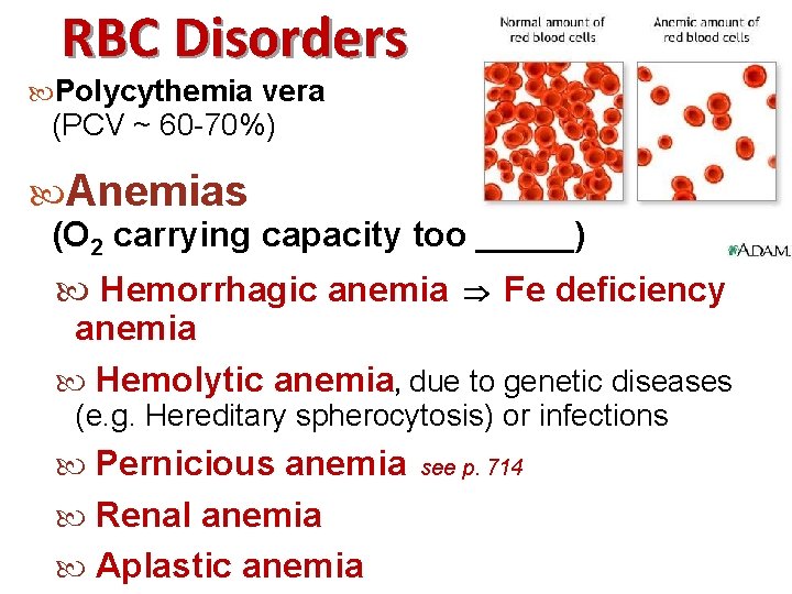 RBC Disorders Polycythemia vera (PCV ~ 60 -70%) Anemias (O 2 carrying capacity too
